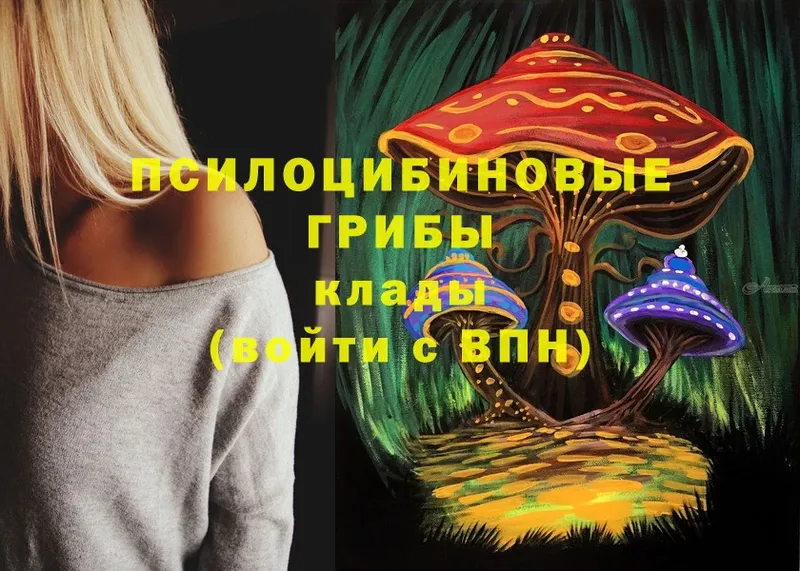 Псилоцибиновые грибы Psilocybe  Полевской 